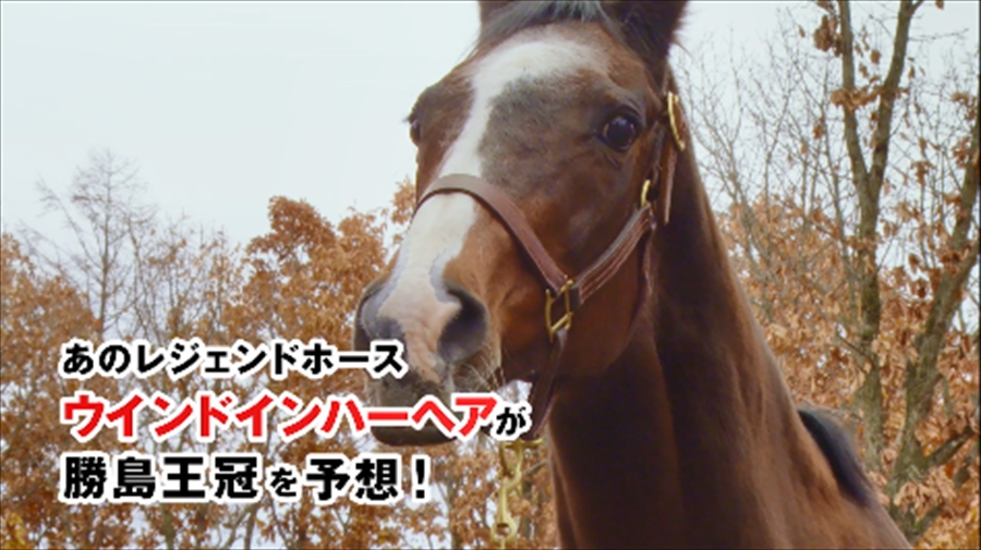 徳井青空、ウマのレース予想実況に挑戦⁉︎多彩な声捌きに注目!「実況感というかリアルな感じを注目してもらえたら」 ディープインパクトの母、ウインドインハーヘアが勝島王冠の本命馬を大胆予想!「馬のことは馬に聞け!」レース予想動画公開! 2 徳井青空、ウマのレース予想実況に挑戦⁉︎多彩な声捌きに注目!「実況感というかリアルな感じを注目してもらえたら」 ディープインパクトの母、ウインドインハーヘアが勝島王冠の本命馬を大胆予想!「馬のことは馬に聞け!」レース予想動画公開!