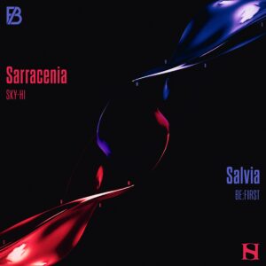アニメ『範馬刃牙』地上最強の親子喧嘩編OPテーマSKY-HI ｢Sarracenia｣先行配信開始！さらに、本日19:00MV公開！