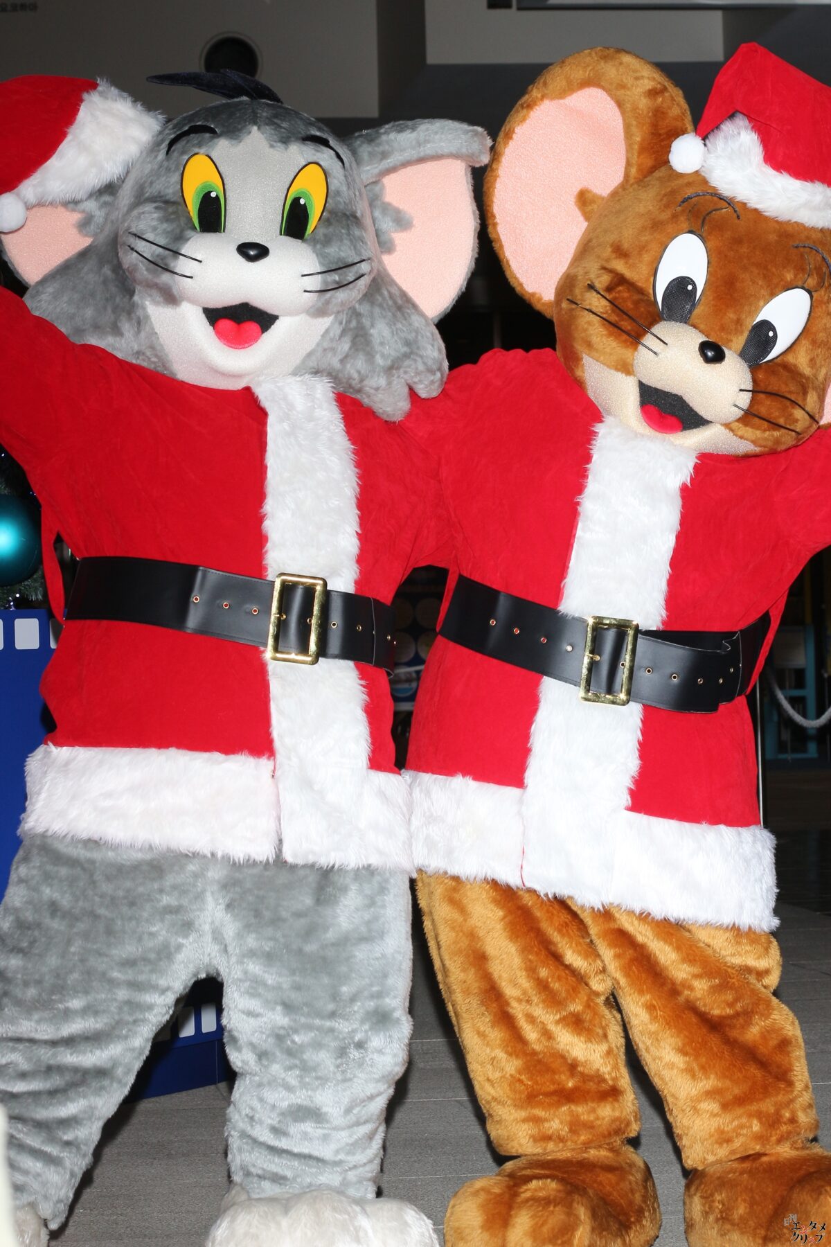 前田敦子 人生初の点灯式で魔法を披露。クリスマスプレゼントに欲しいものは？