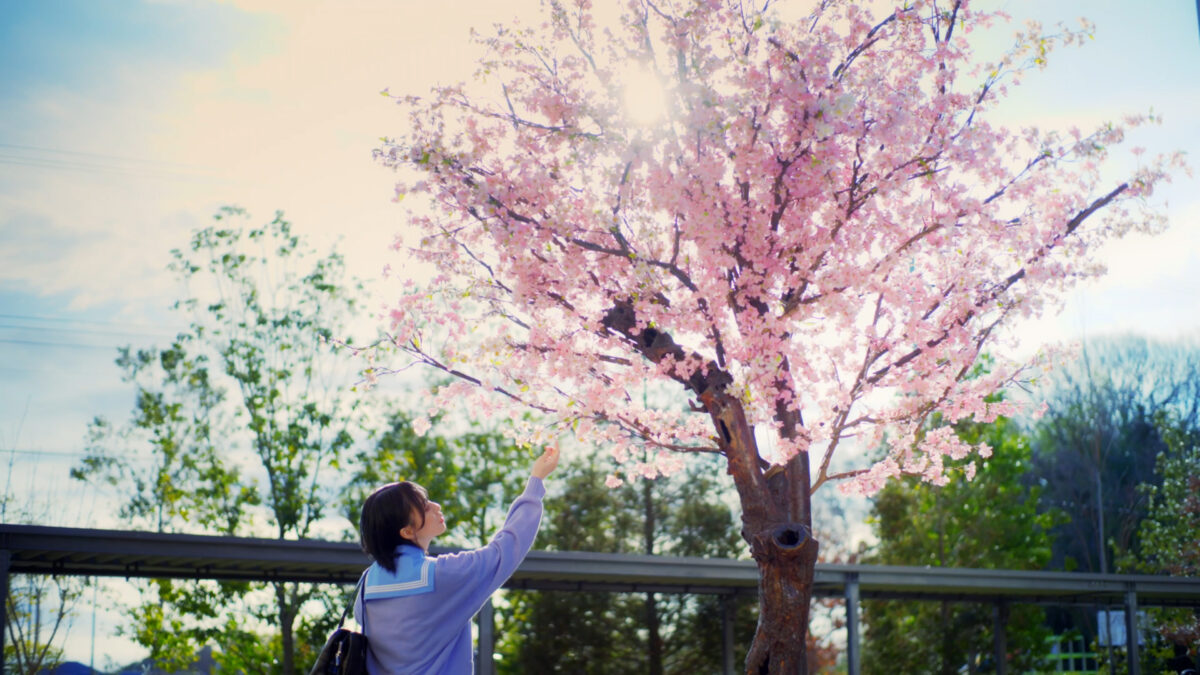 ≠ME 3月20日(水)発売 1stアルバム リード曲「ラストチャンス、ラストダンス」MV解禁！アルバムタイトルは「Springtime In You」