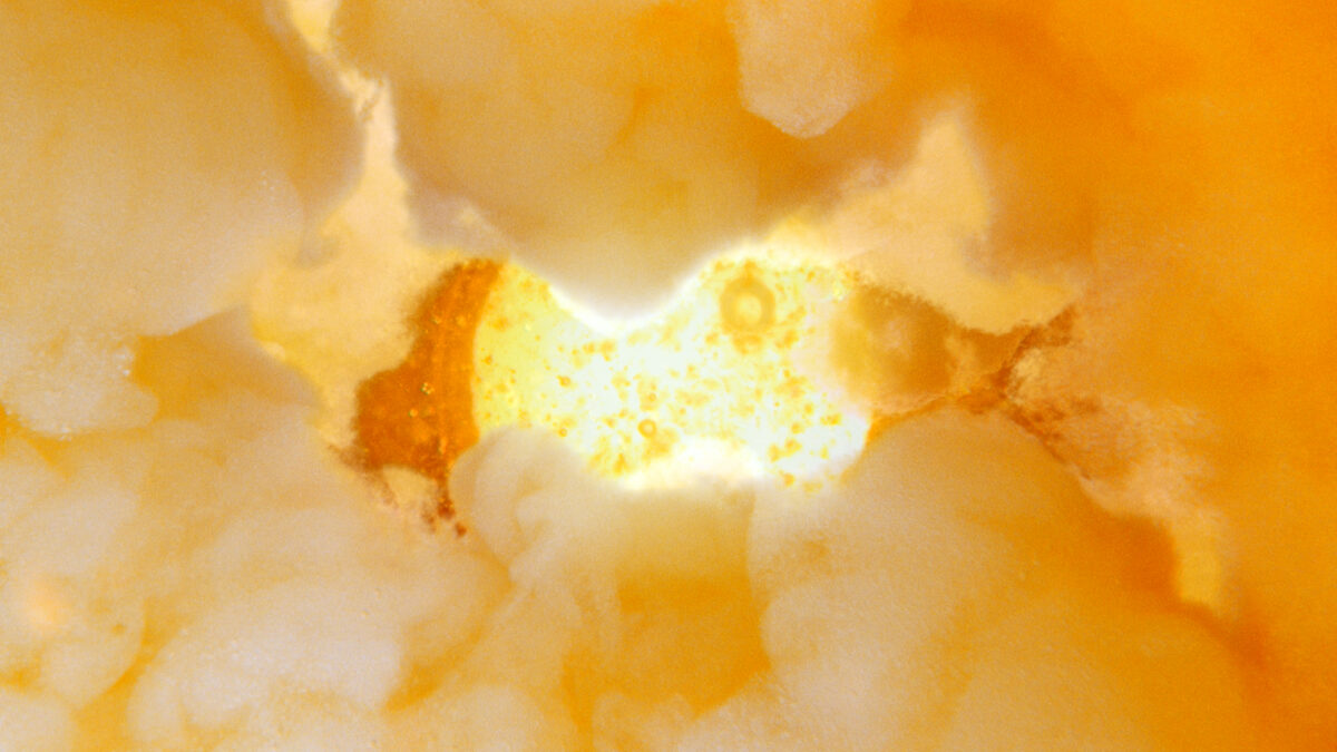 生田絵梨花 プレミアムなドレスで登場！ 心からの『は～っ』っていう表情を見て！ 年始にロンドン1人旅も！