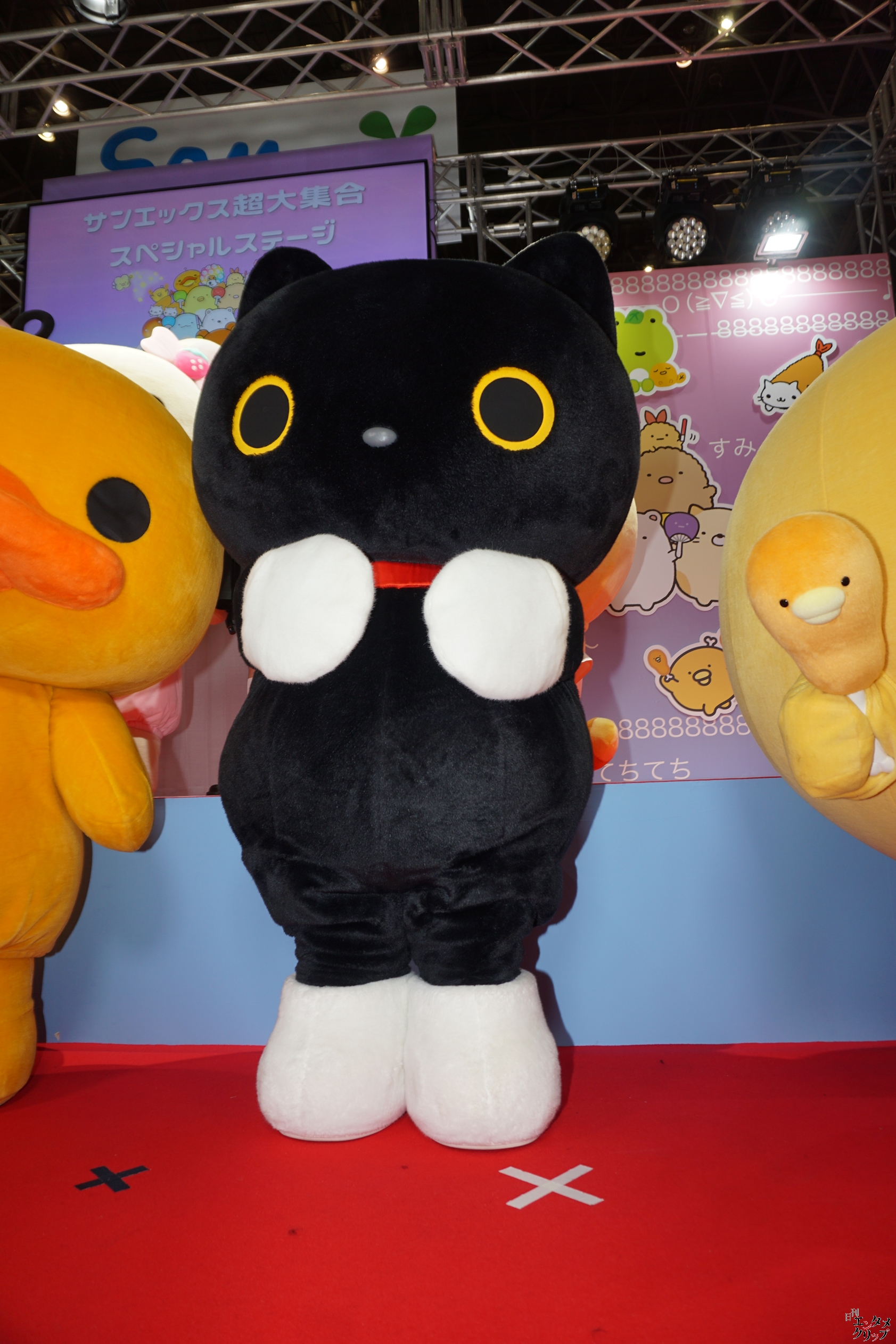 【ニコニコ超会議2024】私立恵比寿中学 星名美怜・桜井えま キャラクターたちと「ベリーぎゅっとコリラックマ」を踊ってみた