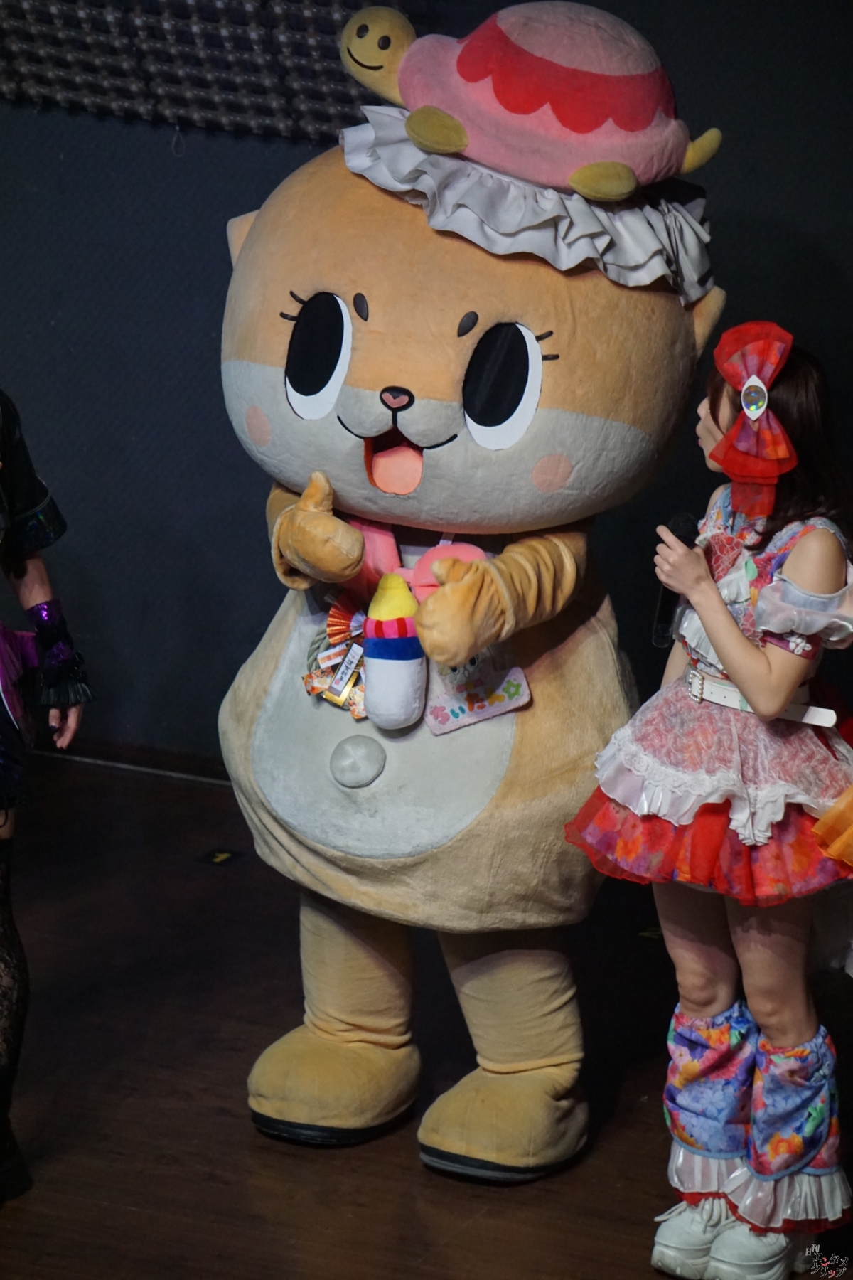 カウントダウンライブ爆裂！ 仮面女子×メノニューイヤー×『全夜祭』ラバーが秋葉原P.A.R.M.Sを熱狂の渦に！！！