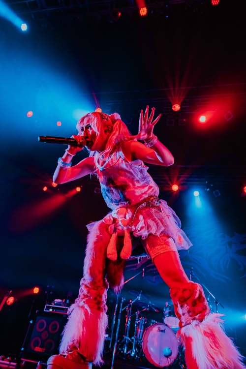 花冷え。、結成10周年で過去最大規模の主催イベント「春の大解放祭2025」開催!新曲「Spicy Queen」も初披露! 5 花冷え。、結成10周年で過去最大規模の主催イベント「春の大解放祭2025」開催!新曲「Spicy Queen」も初披露!