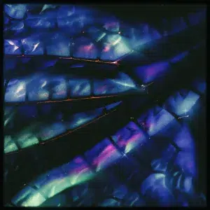 King Gnu・勢喜遊による新ユニット『勢喜遊 & Yohji Igarashi』、フジロックでの初ライブを無事完遂！ライブで初披露の、ラッパー・Daichi Yamamotoを客演に迎えた新曲『Tombo』のリリースが決定！