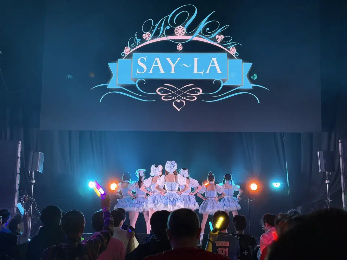 3月31日にシングル『半透明スワロフスキー』を発売する SAY-LA、1月27日に行った新体制初ツアーのファイナル公演で、シングルのタイトルに掛けた阪東名TOUR を春に、6月12日にBLAZE GOTANDAでワンマン公演を行うことを発表。