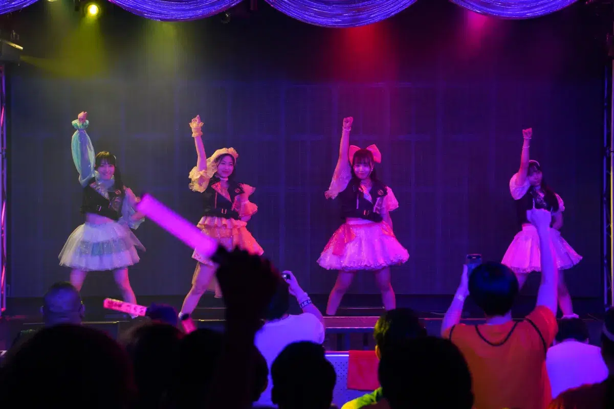 アイドルなのに筋肉レベチ！？💪✨アプガ（プロレス）の新衣装ワンマンが「カワツヨ」すぎた！歌って踊って戦える二刀流、2026年も推すしかない🔥両国国技館へ向けた熱量がヤバい！