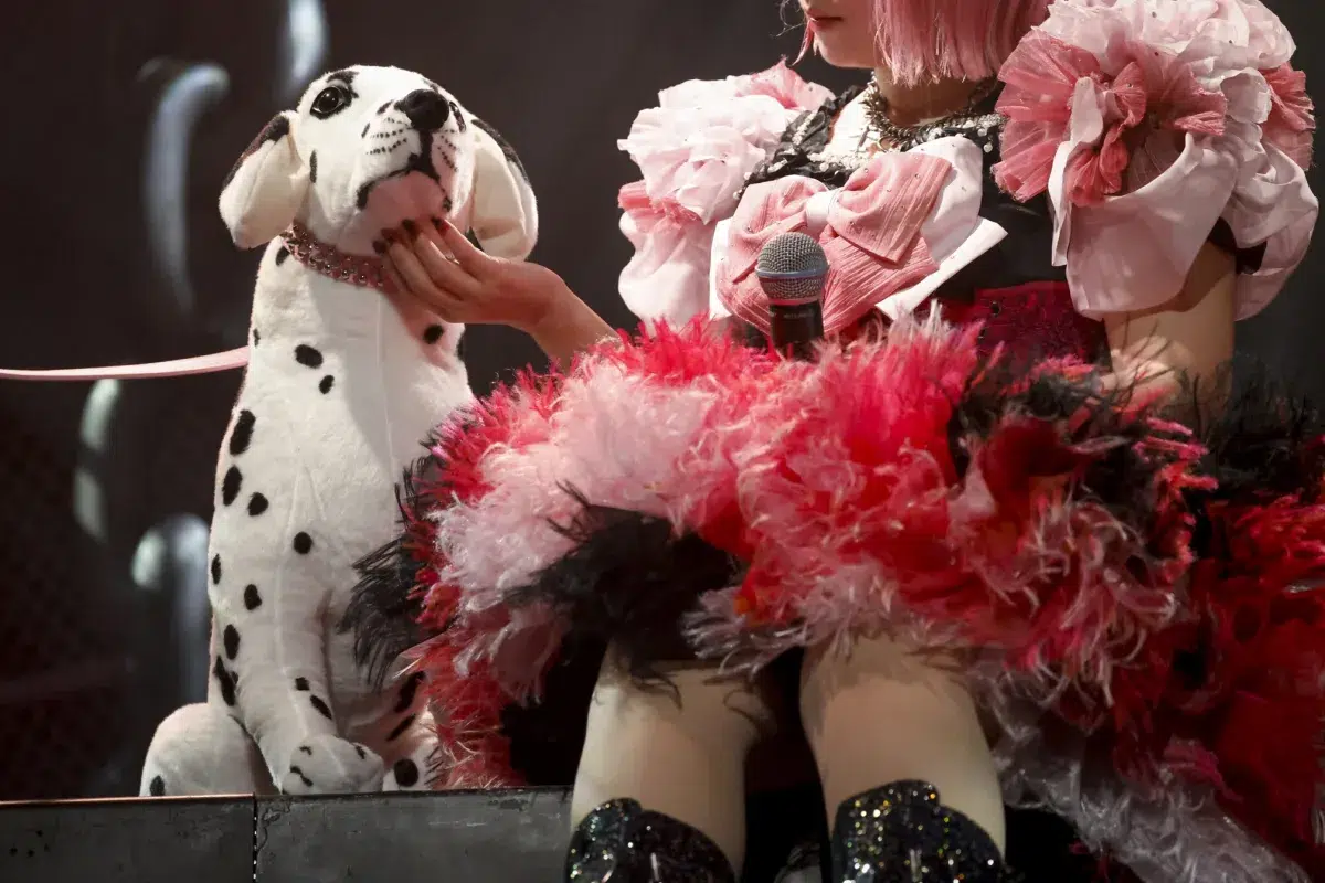 「5公演じゃ足りないよね」全公演即完のコレサワ初Zeppツアーファイナル!ロックスターの風格漂う極上ライブレポ✨ 6 「5公演じゃ足りないよね」全公演即完のコレサワ初Zeppツアーファイナル!ロックスターの風格漂う極上ライブレポ✨