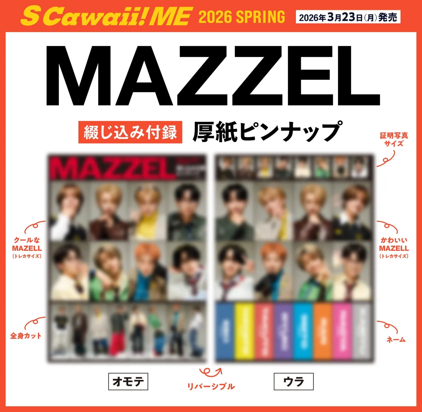 MAZZEL付録イメージ