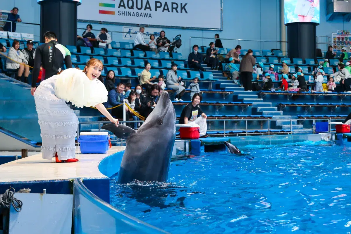 ももクロ・百田夏菜子がアクアパーク品川のイベントに登場 イルカとのコラボショーを絶賛