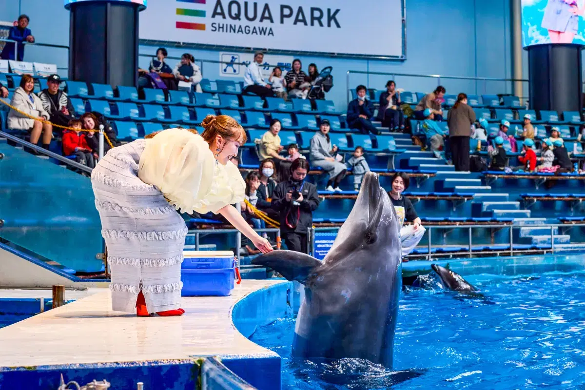 ももクロ・百田夏菜子がアクアパーク品川のイベントに登場 イルカとのコラボショーを絶賛