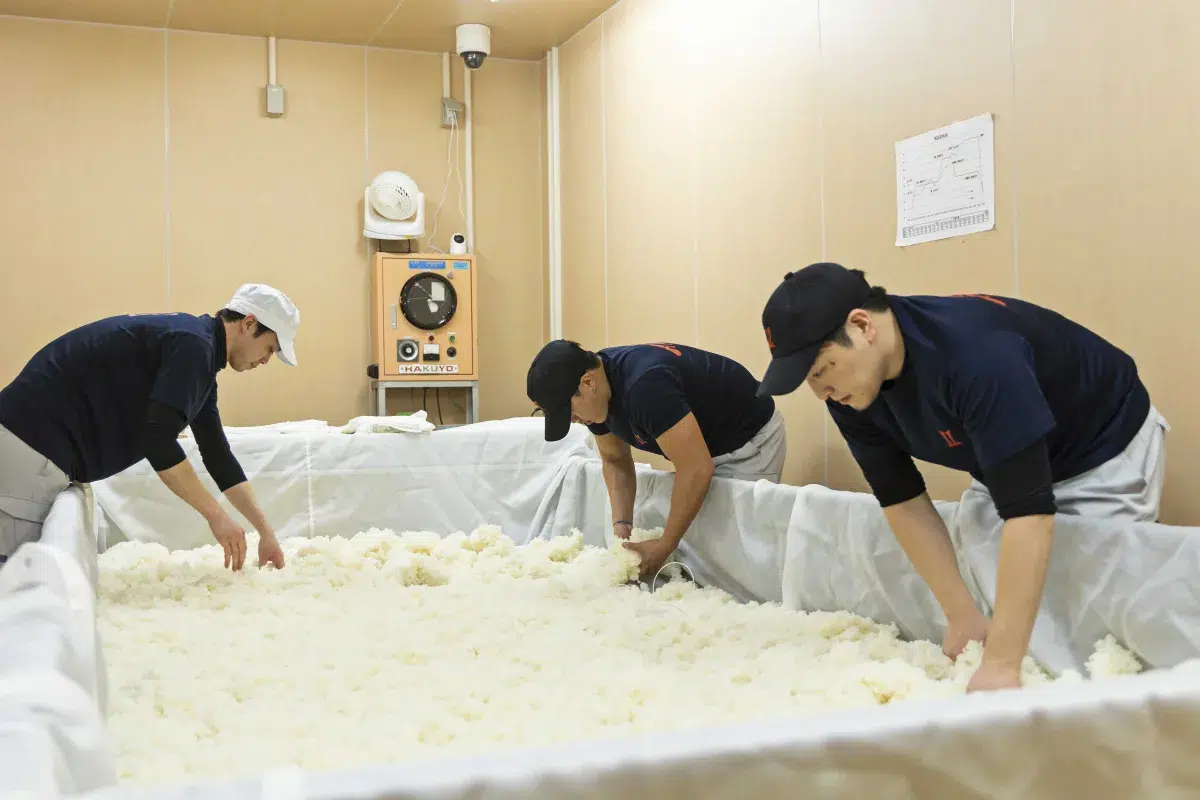 岩手県の気鋭日本酒蔵・赤武酒造と醸した 中務裕太（GENERATIONS）コラボ酒第3弾！2026年4月11日（土）『AKABU 中務 2026』発売！リリースを記念したファンクラブイベントも決定！