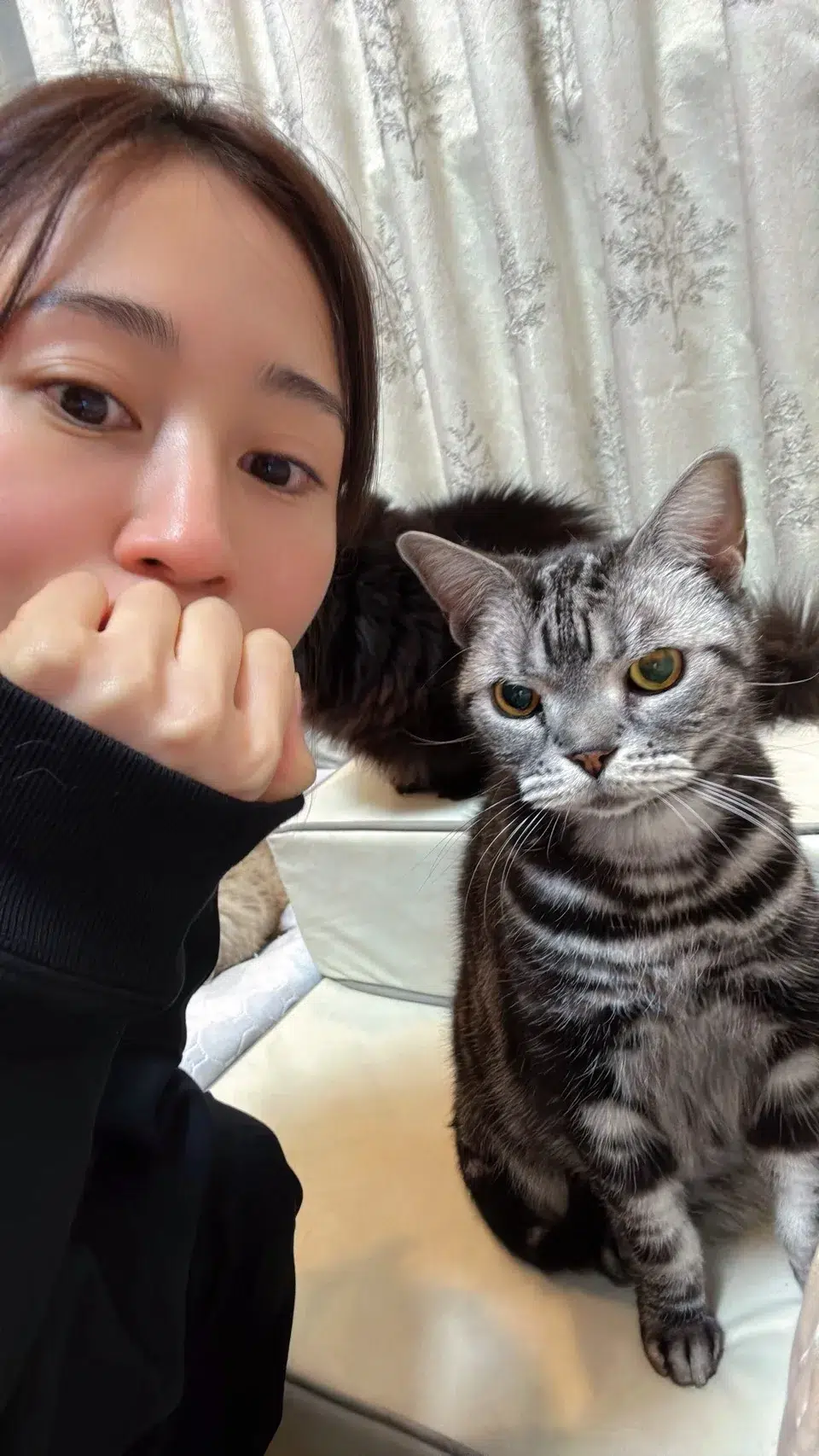 前田敦子さんが初代受賞！日本獣医師会 第1回「ベストバディアワード2026」授賞式レポート