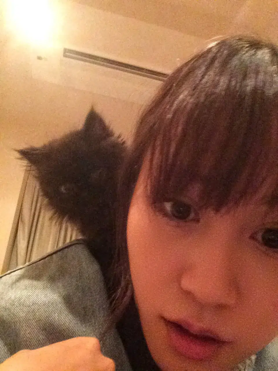 前田敦子さんが初代受賞！日本獣医師会 第1回「ベストバディアワード2026」授賞式レポート