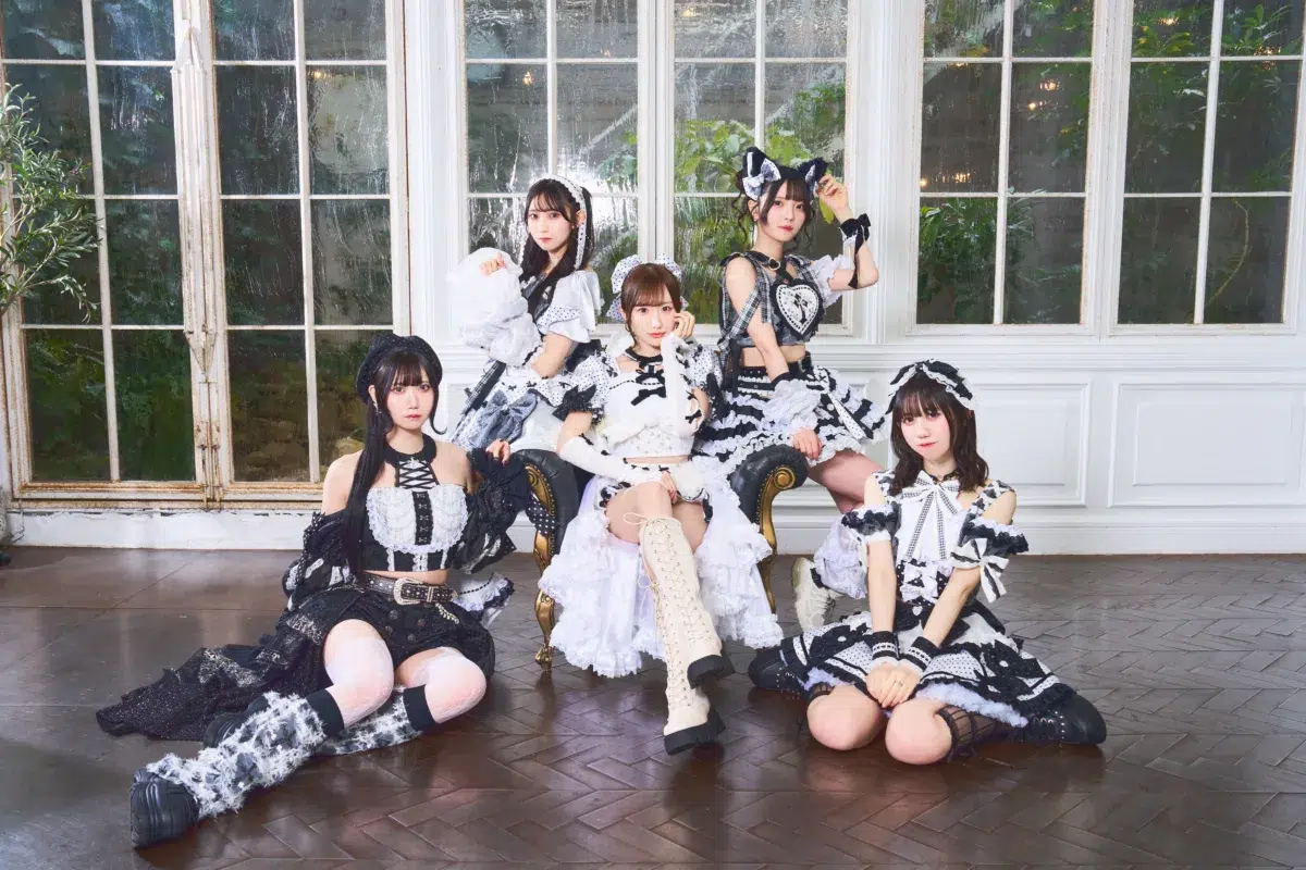 【TIF2026】出演者第11弾が発表！アイドルカレッジ、Pixel Ribbon、初出演のハルカエコーやRE-GEなど全26組が追加