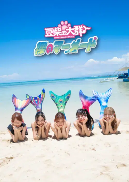豆柴の大群、ニューシングル「裸のマーメード」収録内容＆ジャケット写真公開！ セブ島で撮り下ろした夏全開のビジュアル解禁、アイカ・ザ・スパイ作詞「夏中夢カレンダー」も収録