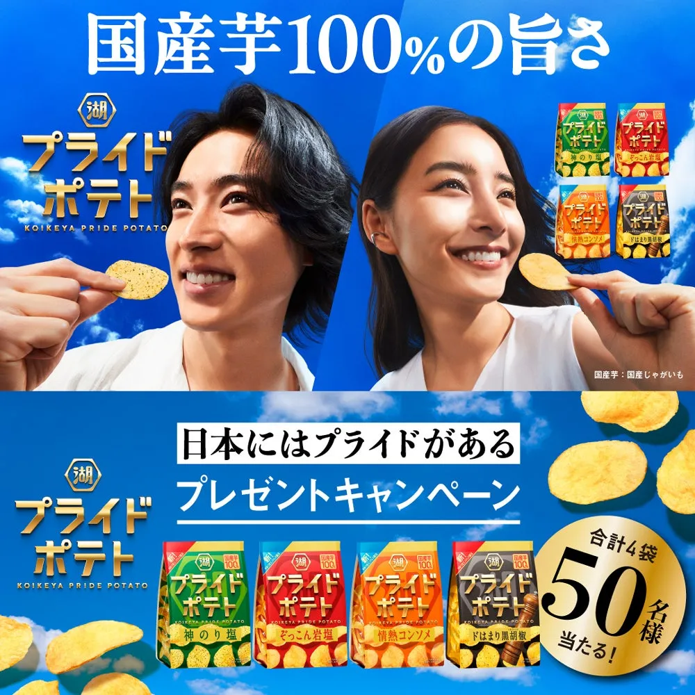 山﨑賢人&新木優子が「高揚感」を表現!湖池屋プライドポテトが全面リニューアル、豪華詰め合わせが当たるキャンペーン開催! 1 湖池屋プライドポテト全4種
