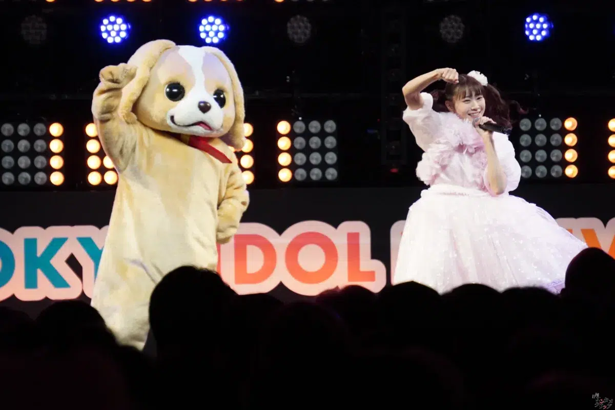 ソロアイドルの下克上!完全セルフプロデュースの葵乃まみが挑んだ初TIF。超満員のDOLL FACTORYで熱狂のステージ! 3 ソロアイドルの下克上!完全セルフプロデュースの葵乃まみが挑んだ初TIF。超満員のDOLL FACTORYで熱狂のステージ!