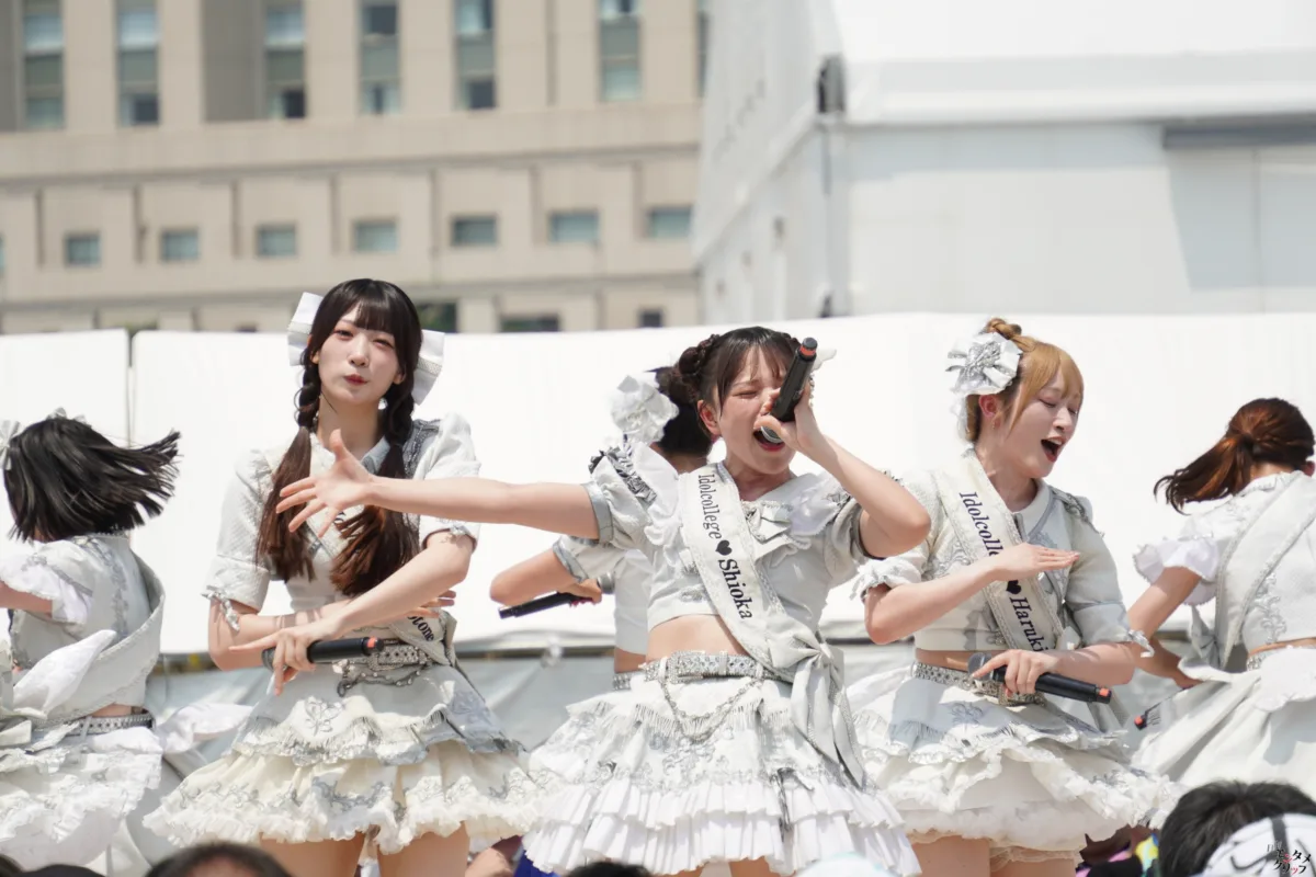アイドルカレッジ、TIF2026で「16年連続出演」の偉業達成! 熱狂のDOLL FACTORYと浮島STAGEをレポート 9 アイドルカレッジ、TIF2026で「16年連続出演」の偉業達成! 熱狂のDOLL FACTORYと浮島STAGEをレポート