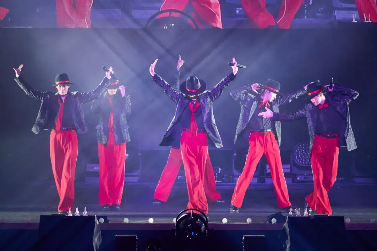 台風を吹き飛ばした！SHOW-WA初の日本武道館公演オフシャルレポートが到着！